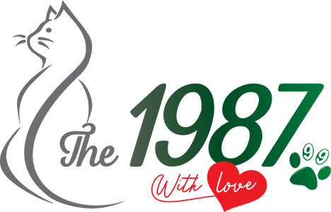 THE1987 - Điểm Trân