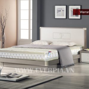 Everon - Đệm bông ép Artemis