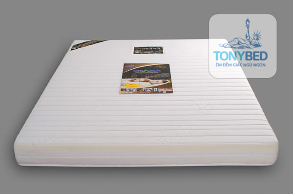 TonyBed - Nệm cao su tổng hợp Dream Obanma 1 viền