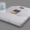 TonyBed - Nệm cao su tổng hợp Dream Obanma 1 viền