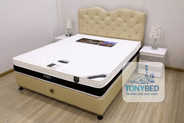 TonyBed - Nệm lò xo túi cao cấp athena