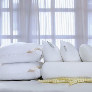 Everon - Ruột gối ôm Everon