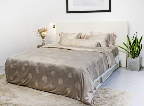 DRAP Điểm Trân - DT02