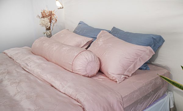 DRAP Điểm Trân – DT14