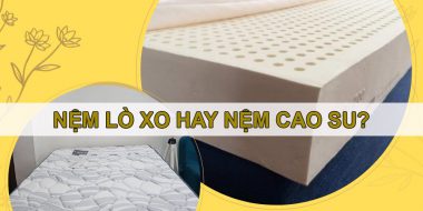 Nên mua nệm cao su hay nệm lò xo tại Everon Thủ Đức?