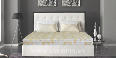 Đệm Than Hoạt Tính Tại Everon Thủ Đức – Bảo Vệ Sức Khỏe Mùa Dịch