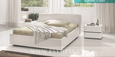 Đệm sóng Everon Thủ Đức – Đồng hành cùng mọi gia đình Việt