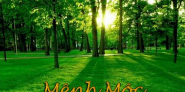 Bí quyết chọn màu chăn ga gối hợp với mệnh Mộc của Everon Thủ Đức
