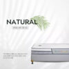 TonyBed - Nệm cao su dầu cọ