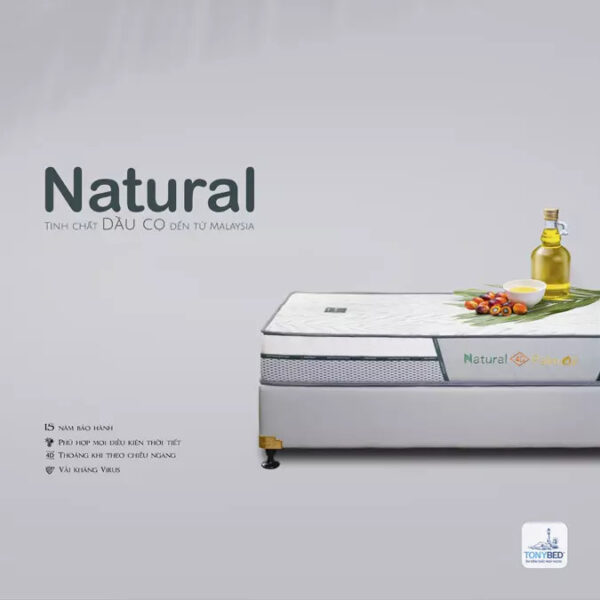 TonyBed - Nệm cao su dầu cọ