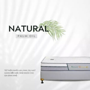 TonyBed - Nệm cao su dầu cọ