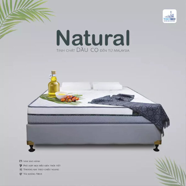 TonyBed - Nệm cao su dầu cọ