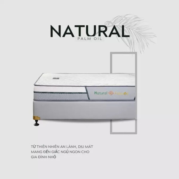 TonyBed - Nệm cao su dầu cọ
