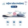 TonyBed - Nệm văn phòng