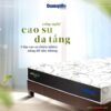 Nệm Cao Su Dunlopillo Latex World Eco