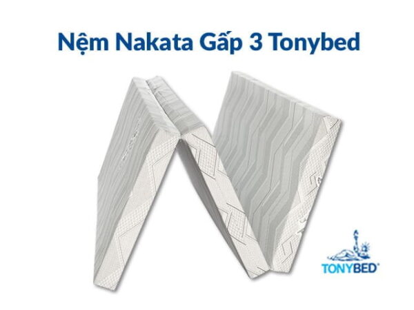 TonyBed - Nệm bông ép gấp 3 Nakata